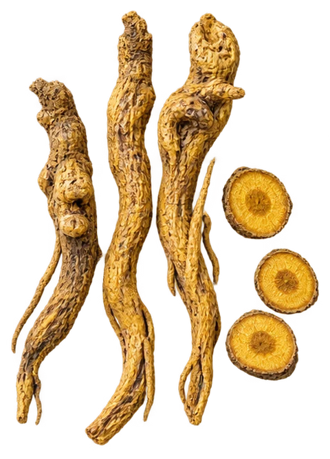Baikal skullcap root