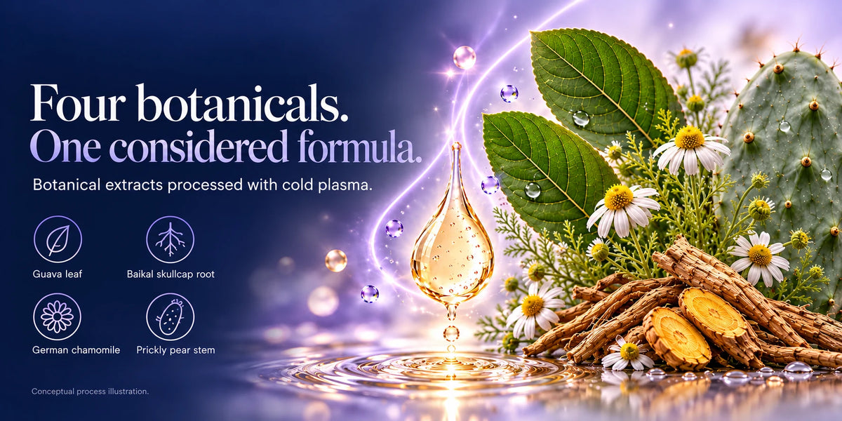 Four botanicals. One considered formula. Botanical extracts processed with cold plasma: guava leaf, Baikal skullcap root, German chamomile, prickly pear stem. Conceptual process illustration.